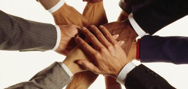 internal Audit consultant